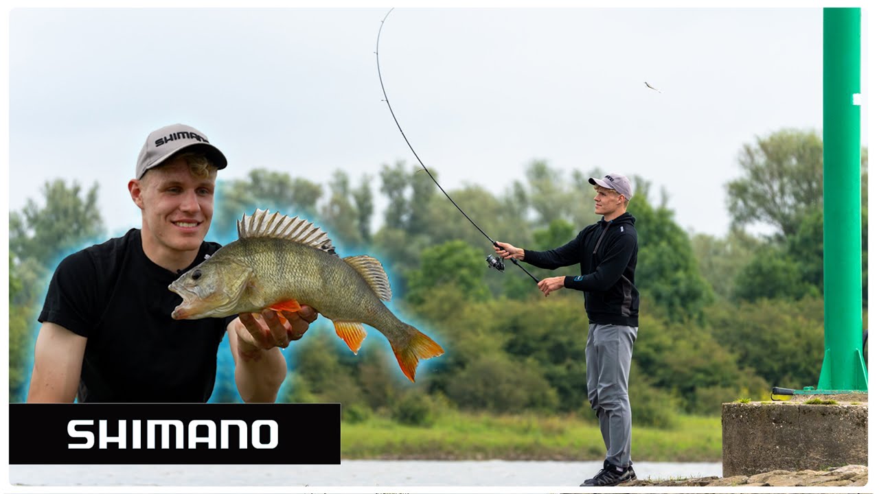 FREE-RIG vs JIG - Raubfischangeln am Fluss I How-To mit Teamangler Nils