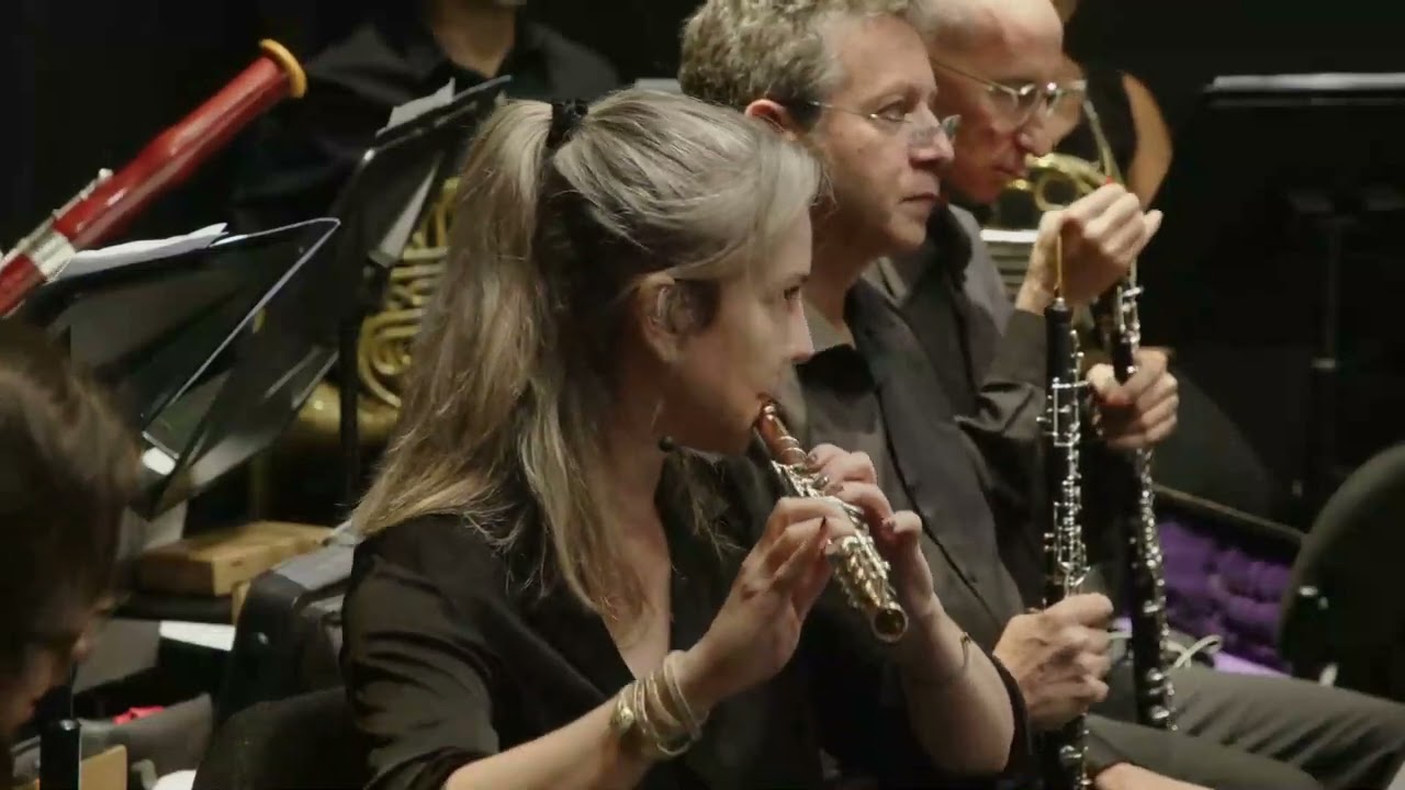 Ariel Waldmann - Schumann Piano Concerto, in A minor, Op. 54, 1st movement