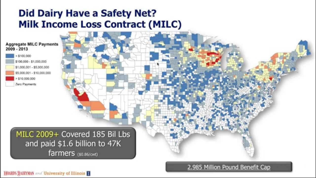 Margin Protection: What's right for you