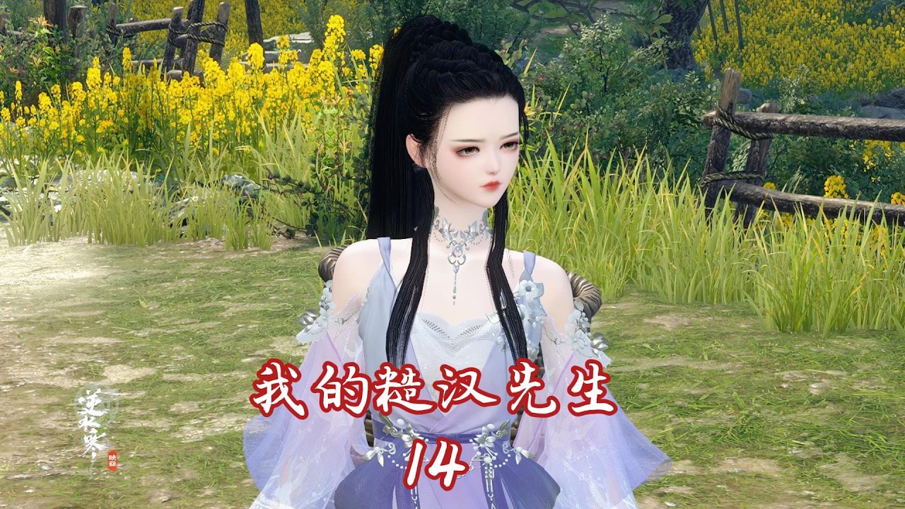 我的糙汉先生第14集
