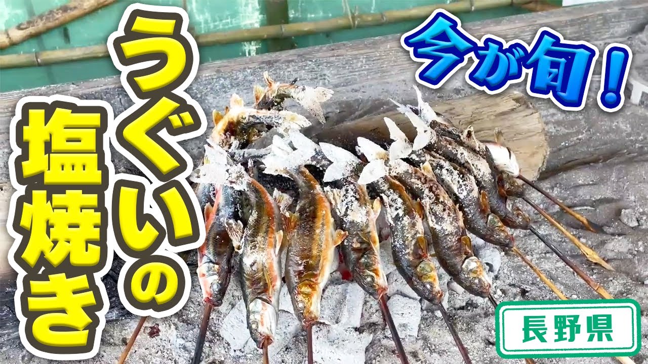 【長野県】【今が旬】美味しい獲れてたの川魚が食べれる「鯉西つけば小屋」