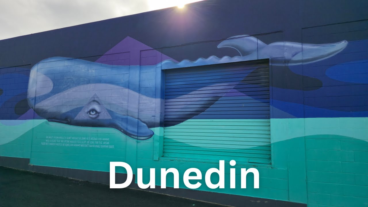 World Tour: New Zealand. S3 - SE9 (Dunedin)