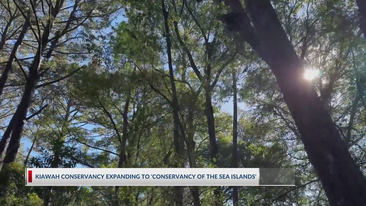 Kiawah Conservancy expanding to 'Conservancy of the Sea Islands'