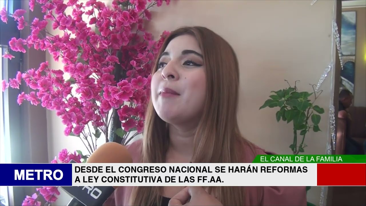 DESDE EL CONGRESO NACIONAL SE HARÁN REFORMAS A LEY CONSTITUTIVA DE LAS FF AA