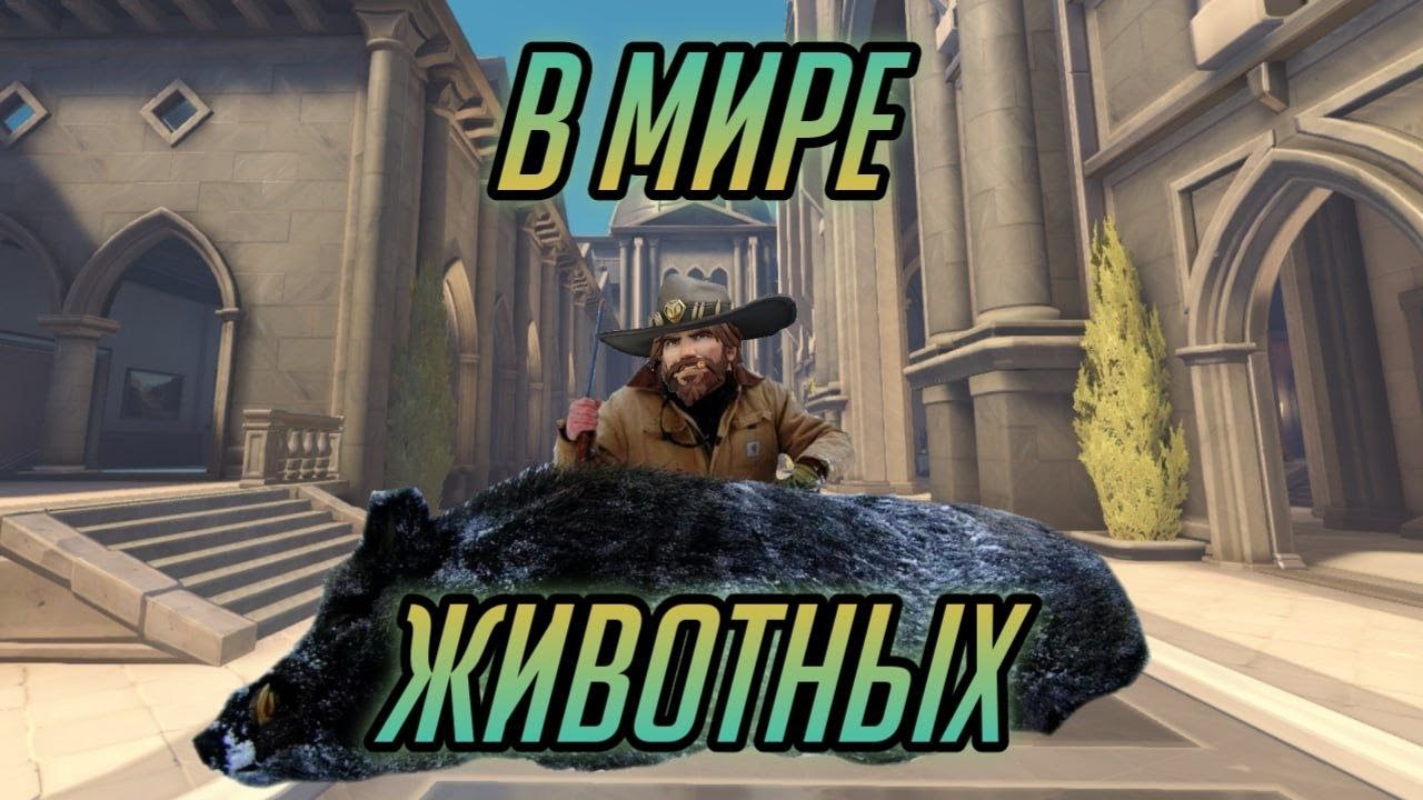 В мире животных| Overwatch 2| Funny moments|