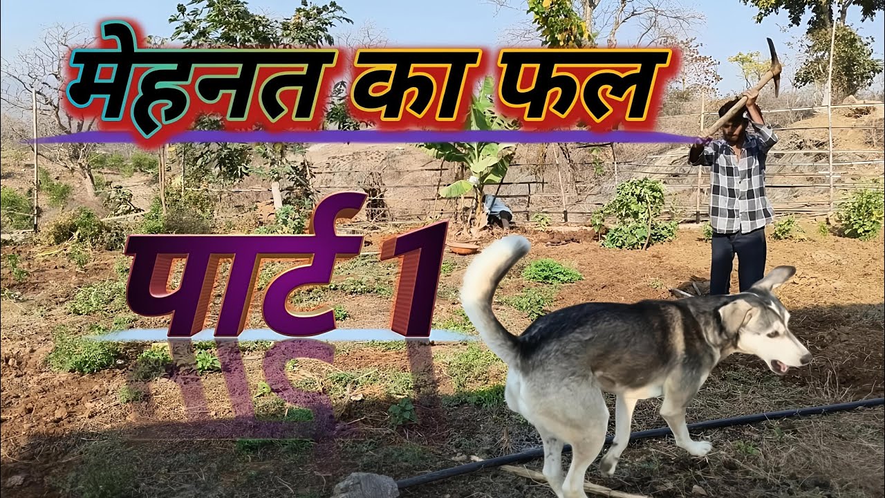 मेहनत का फल मीठा होता है 💪🔥गरीब किसान से सफल इंसान तक🚜मेहनतकभीबेकारनहींजातीmehnatka falmeethahotaHai