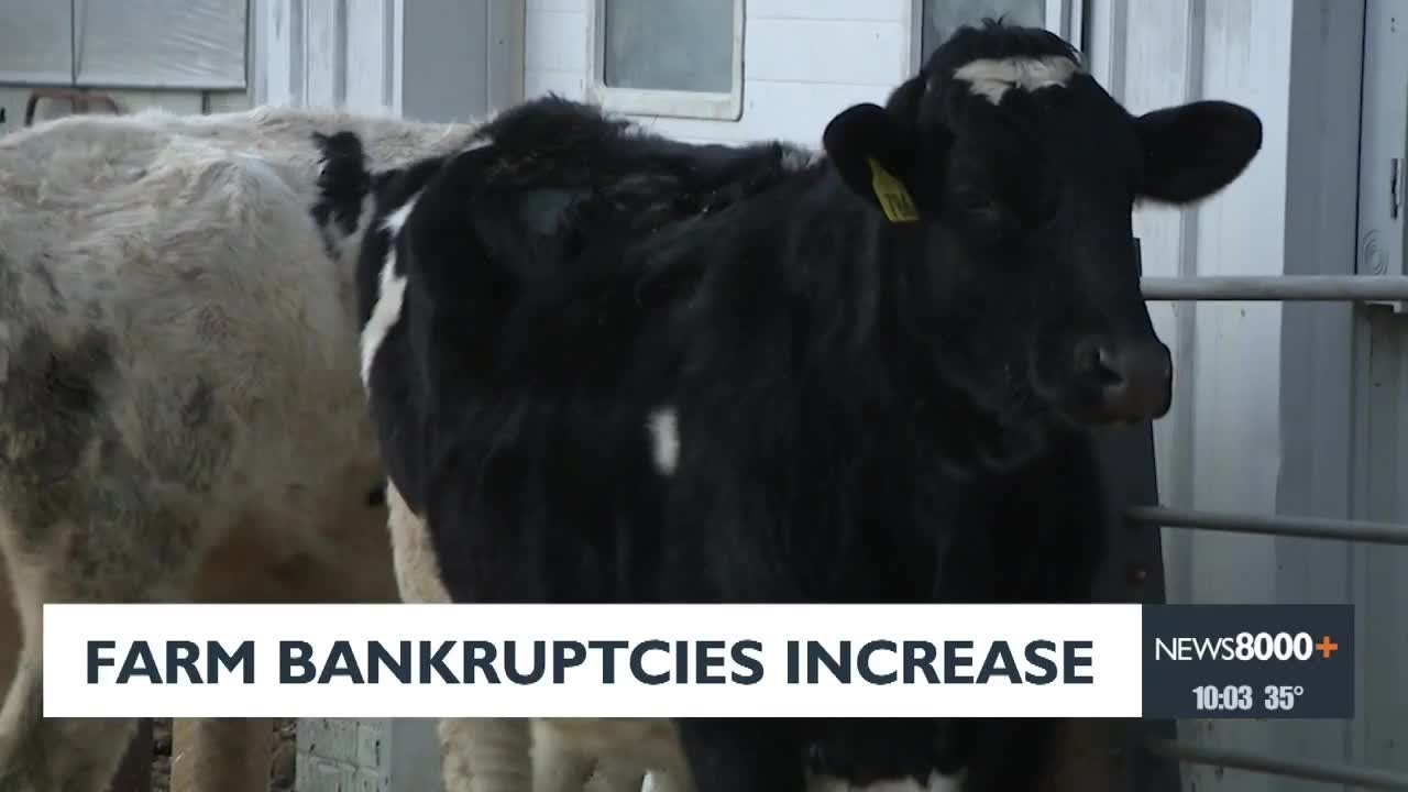 Farm Bankruptcies Rise