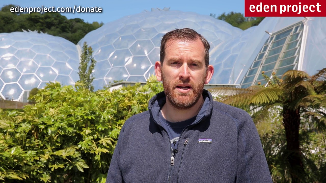 Donate to the Eden Project