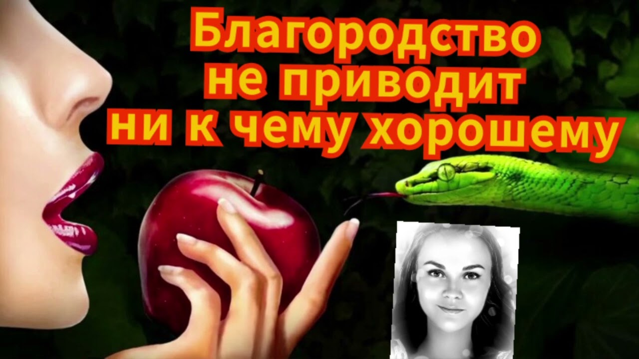 Мошенник советует Василисе не быть благородной