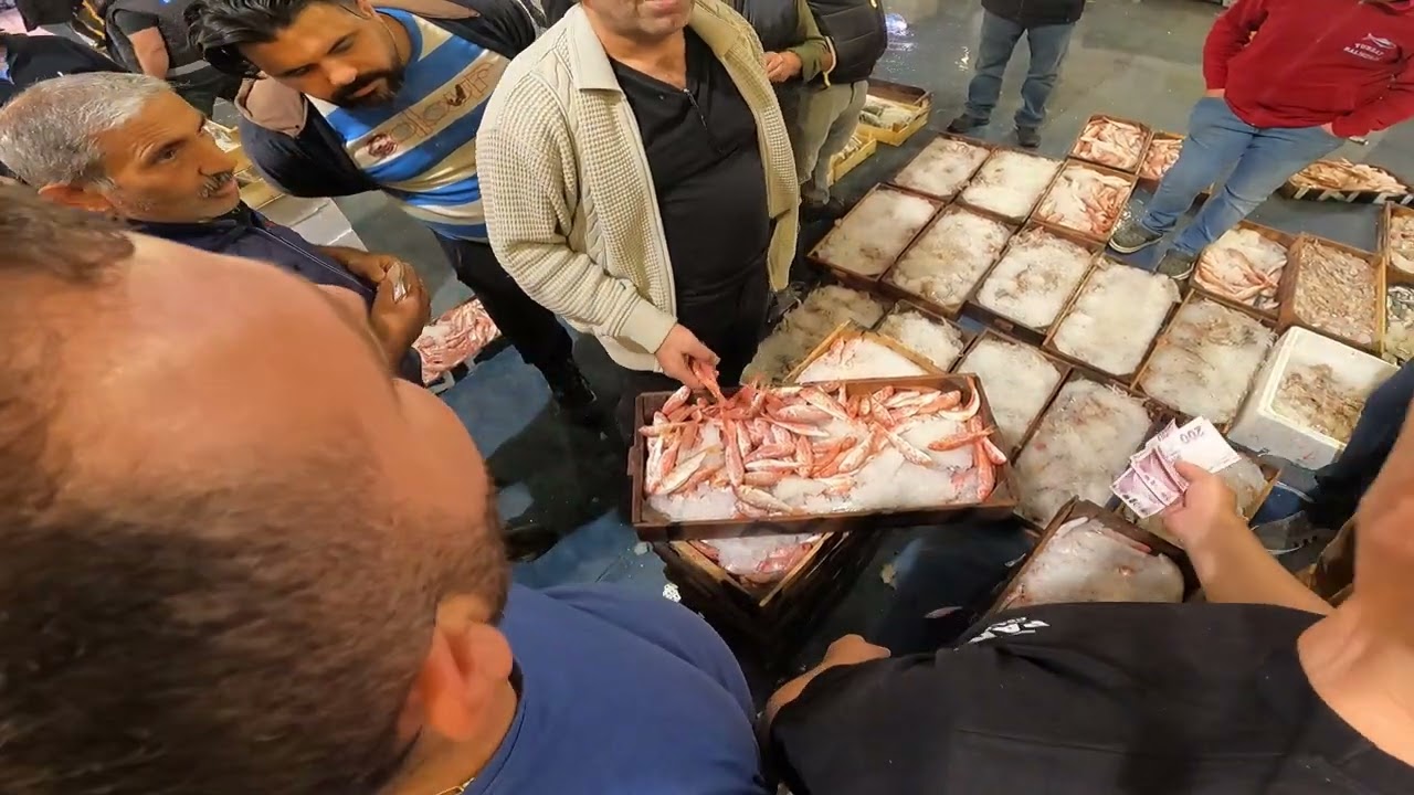 İZMİR  BALIK  HALİ  (Kasayla Balık Mezatı)