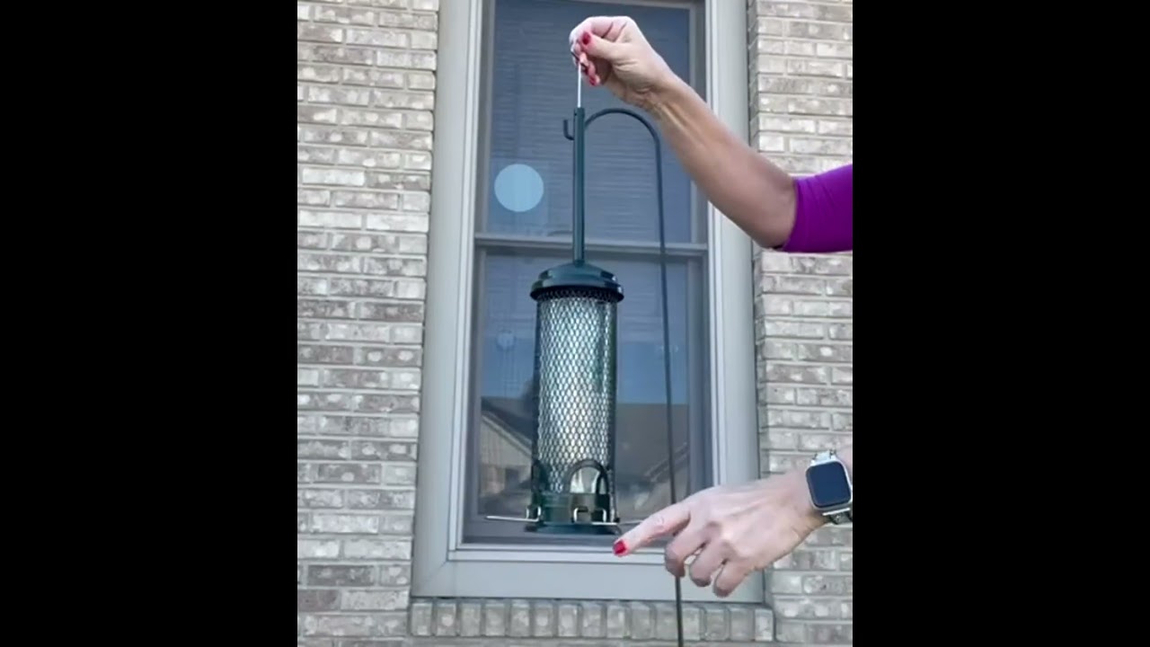 Squirrel Buster Standard Squirrel proof Bird Feeder Review