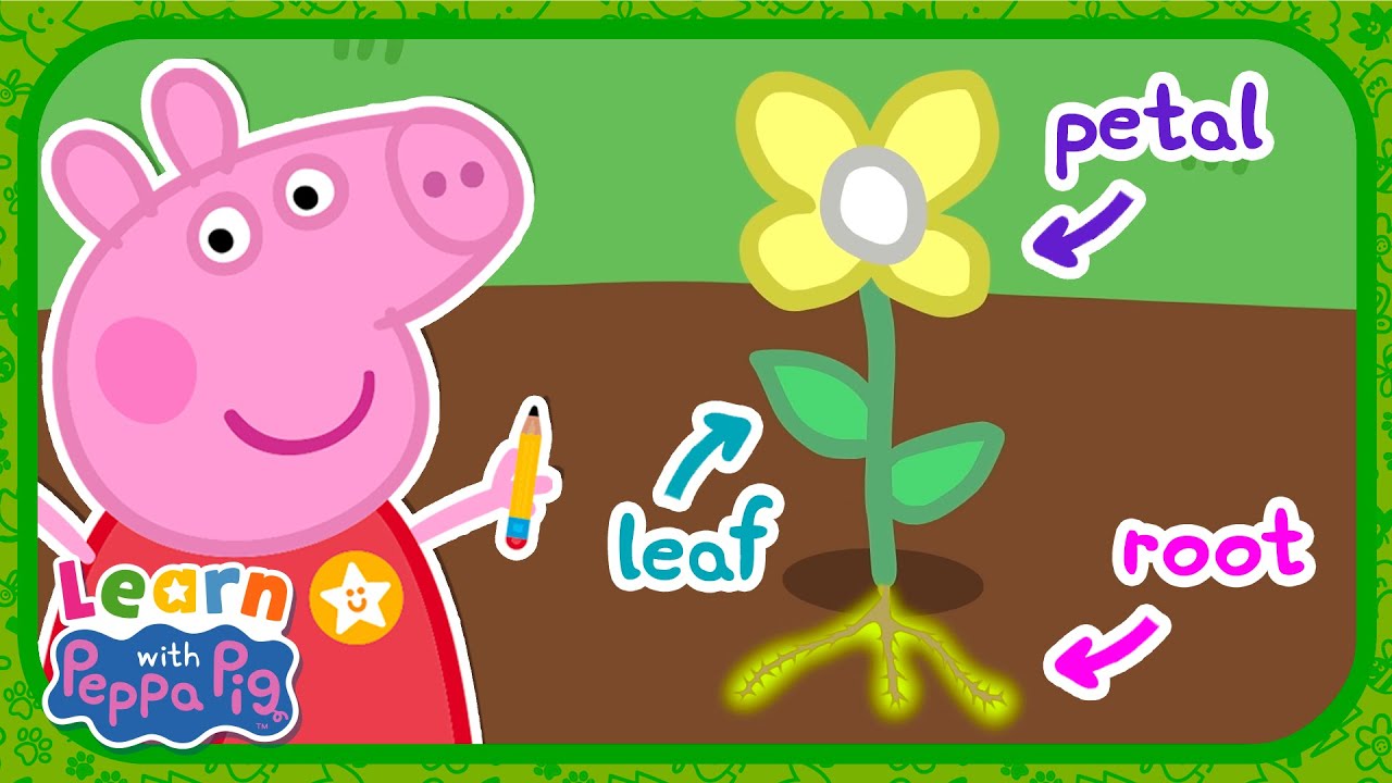 Flowers With Peppa Pig 🌹 Educational Videos for Kids 📚 Learn With Peppa Pig
