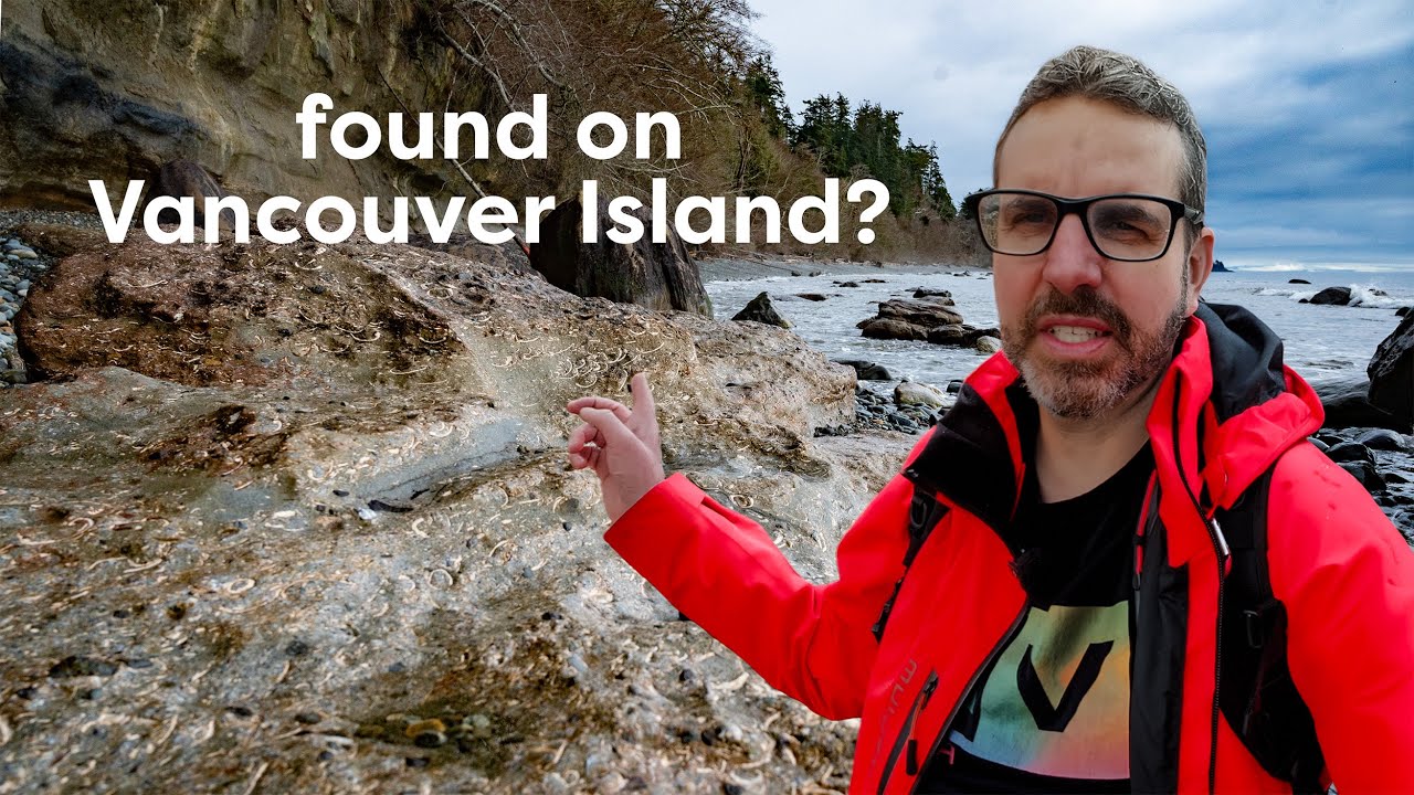 Fossils Near Sooke? Exploring Muir Creek Beach