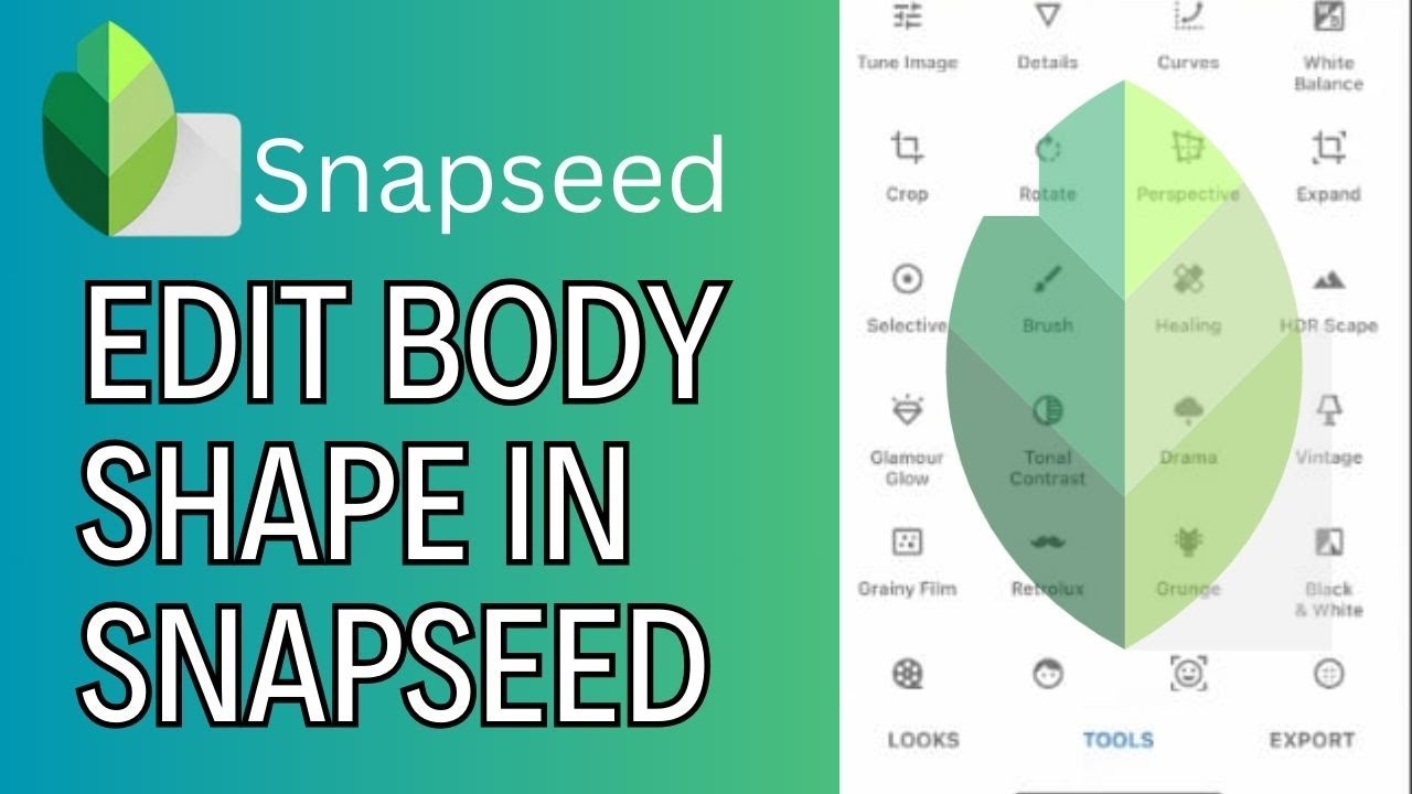 How to Edit Body Shape in SnapSeed App 2024?