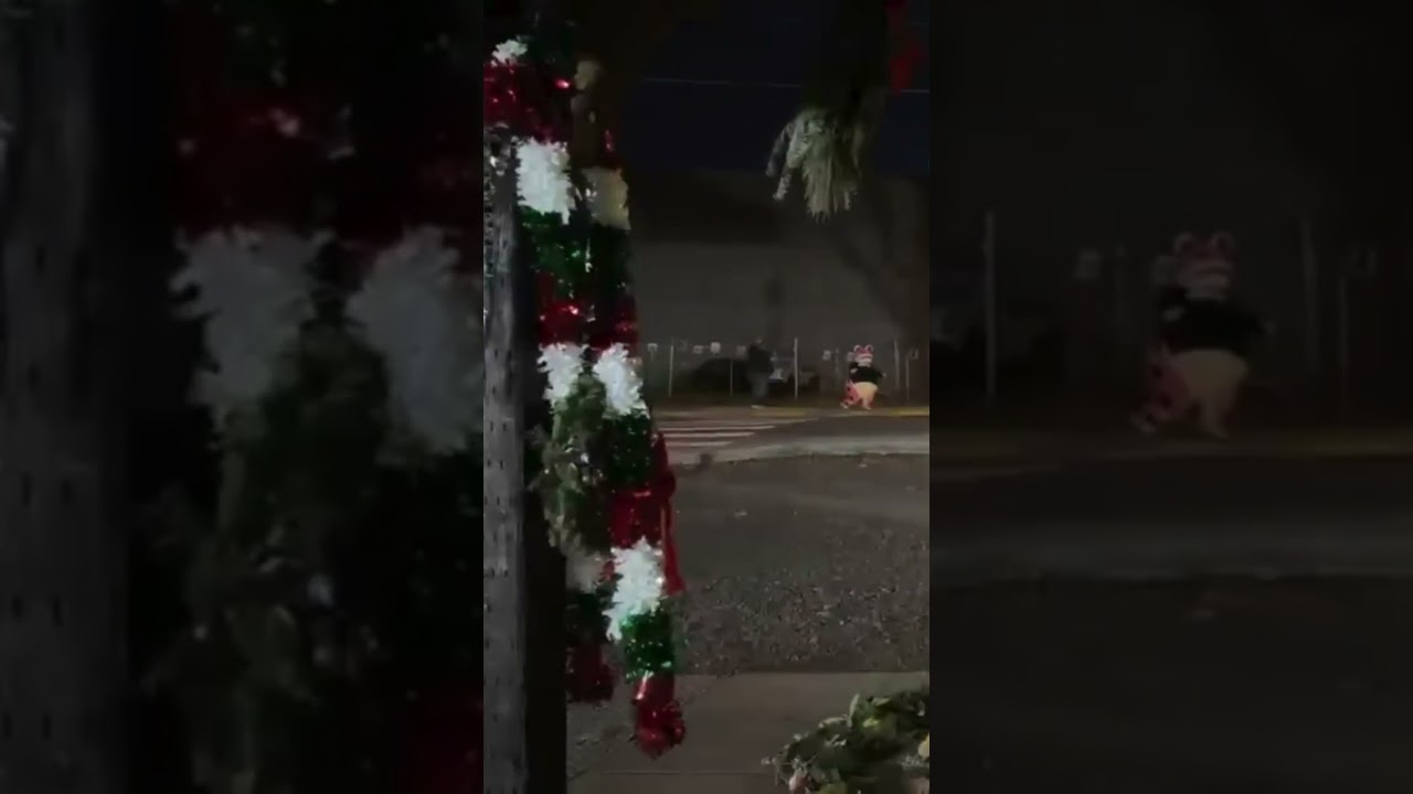 New Year’s Eve at the Portland ICE protests