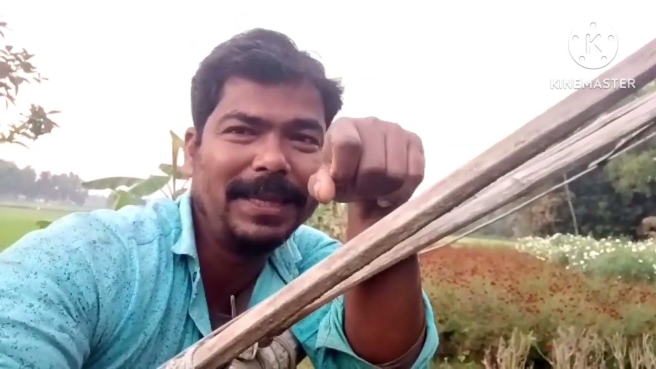 সারা বছরের ফুলগাছ ফেব্রুয়ারি মাসে ঠিক এইভাবে যত্ন নেব প্রতিটি ফুল গাছ ভালো হবে এবং অনেক বেশি ফুল 