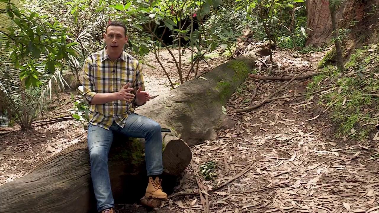 Granadilla: de ciclo corto y sensible a la temperatura | La Finca de Hoy