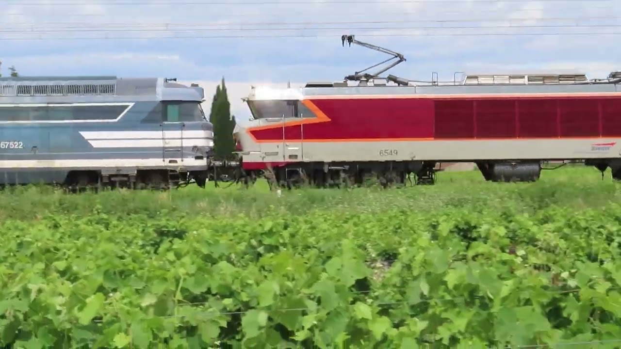 CC 6549