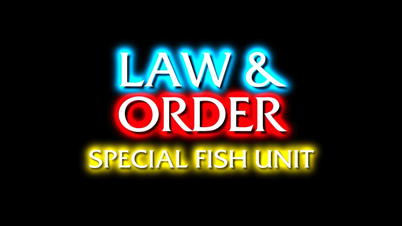SpongeBob: Law & Order SVU style!