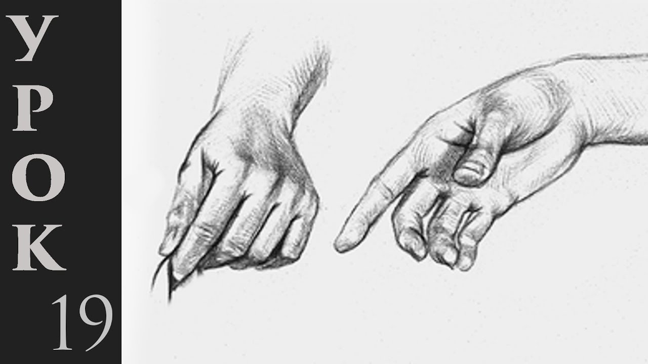 Как рисовать руки человека.