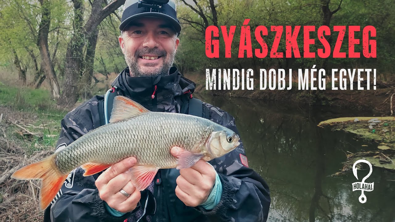 HOLAHAL? 20 - Jászkeszeg pergetés alapok - 3. rész