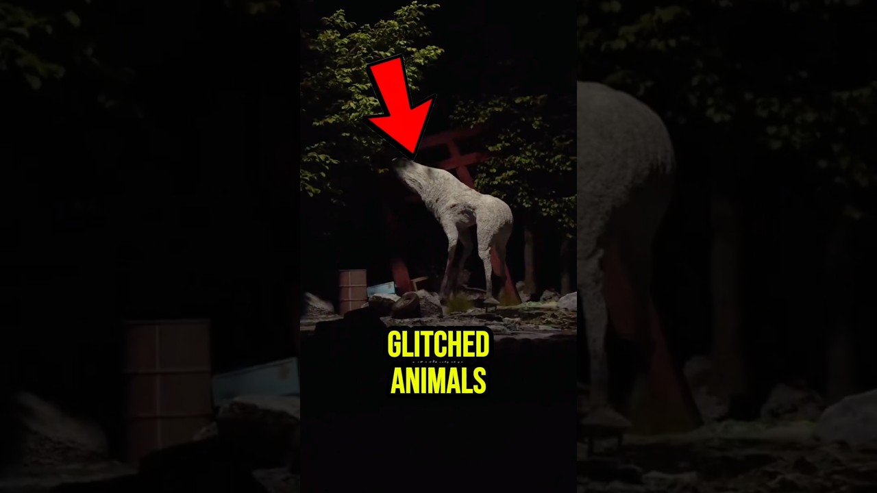 4 Animals That Look Like a Glitch in Reality (Last One Is Cursed)