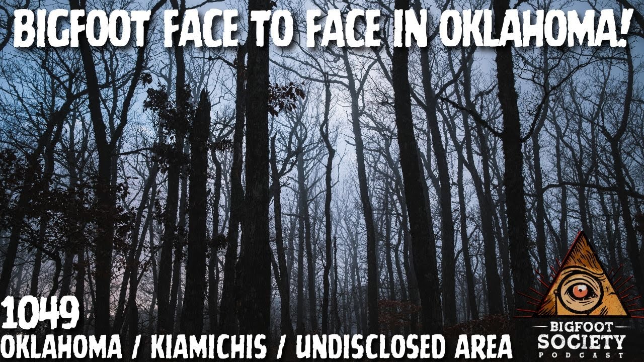 A Face in the Trees: Wild Bigfoot Activity in Southeast Oklahoma | Bigfoot Society 1049