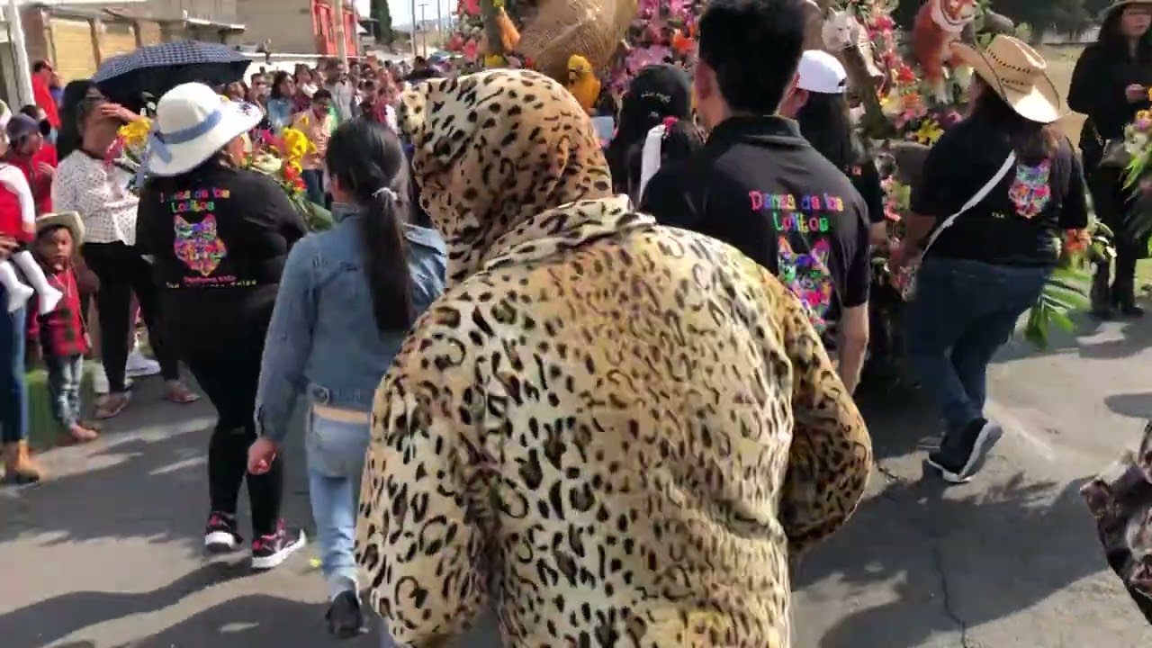 Danza de los Lobitos Santa Cruz Atizapan Paseo 2023