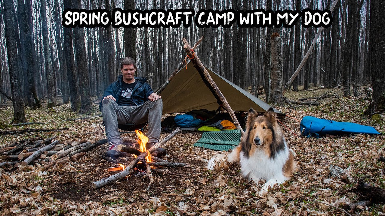 Spring Bushcraft Camp With My Dog