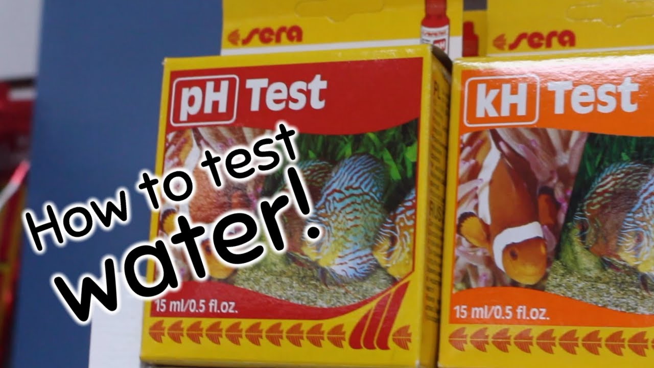 How to Test Your Water! (pH, Ammonia, Nitrite, Nitrate)