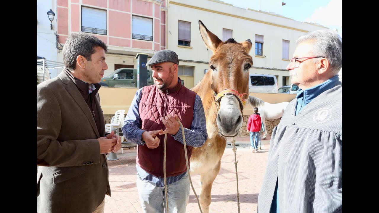 Visita Fira i Porrat de Sant Antoni de Benissa