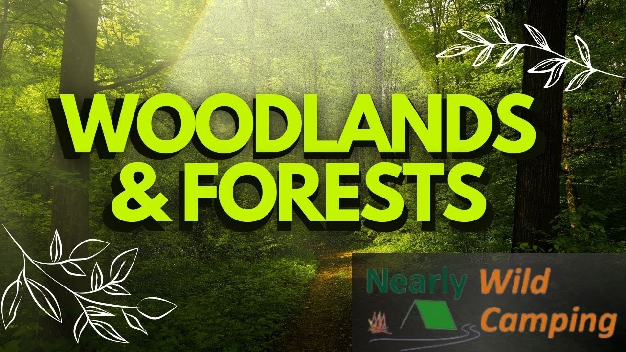 Nearly Wild Camping - Woodland and Forest Plantation and Evolution in Britain