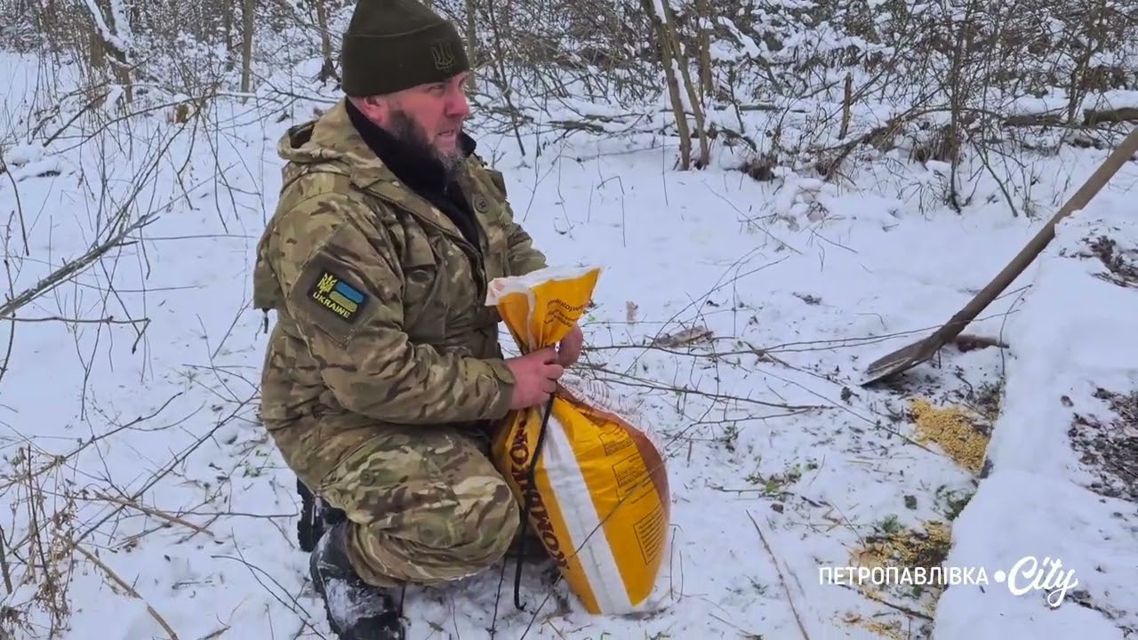 Підгодівля диких тварин узимку: угіддя Петропавлівщини