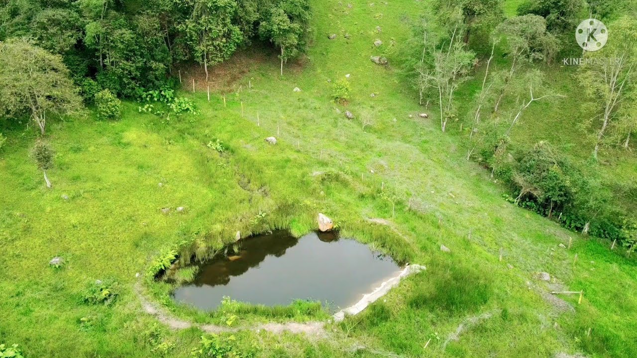 HERMOSA FINCA GANADERA DE  20 FANEGADAS EN FUSAGASUGA CUNDINAMARCA
