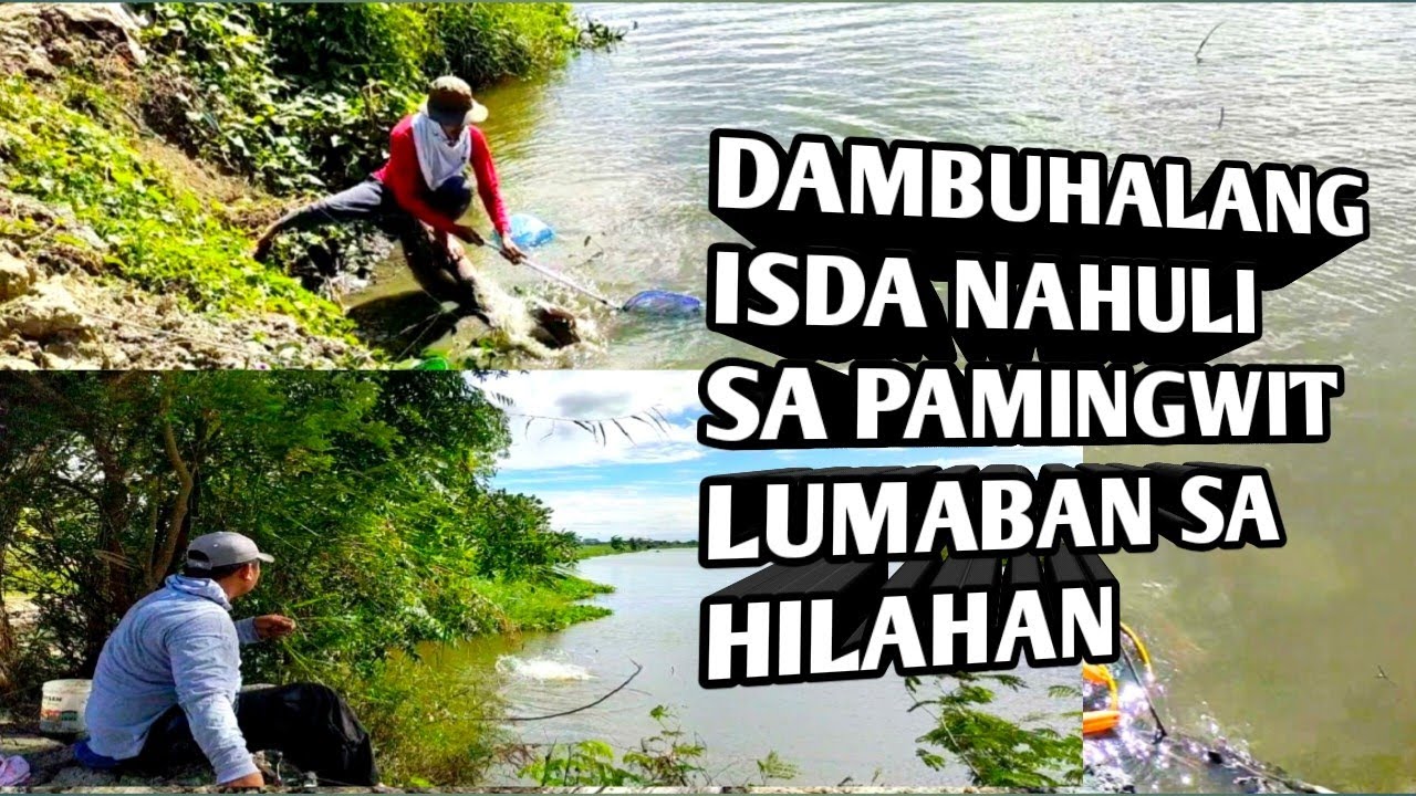 DAMBUHALANG ISDA NAHULI SA PAMINGWIT#jeff02tv #tilapia #fishing