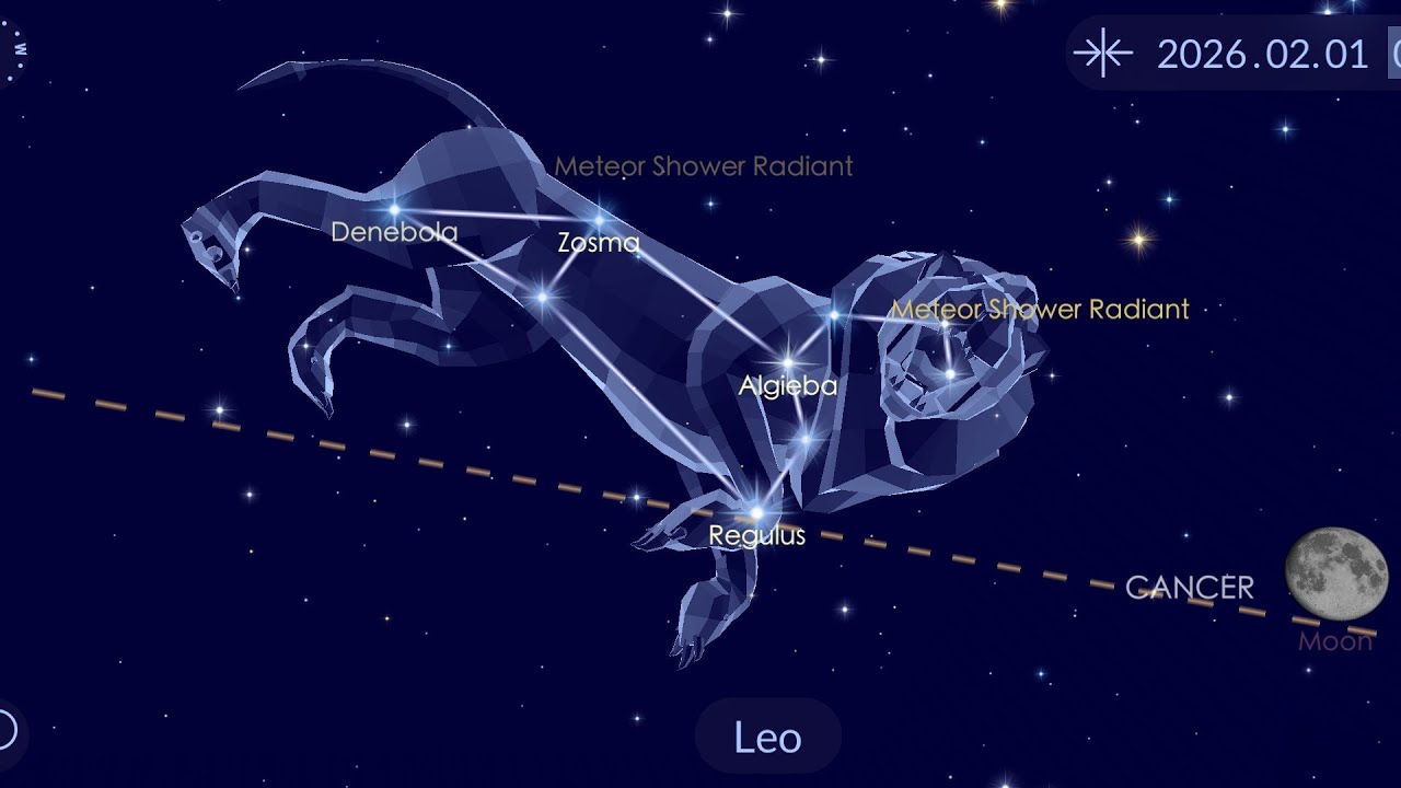 Lev ♌️ únor 2026, co říkají hvězdy ✨️
