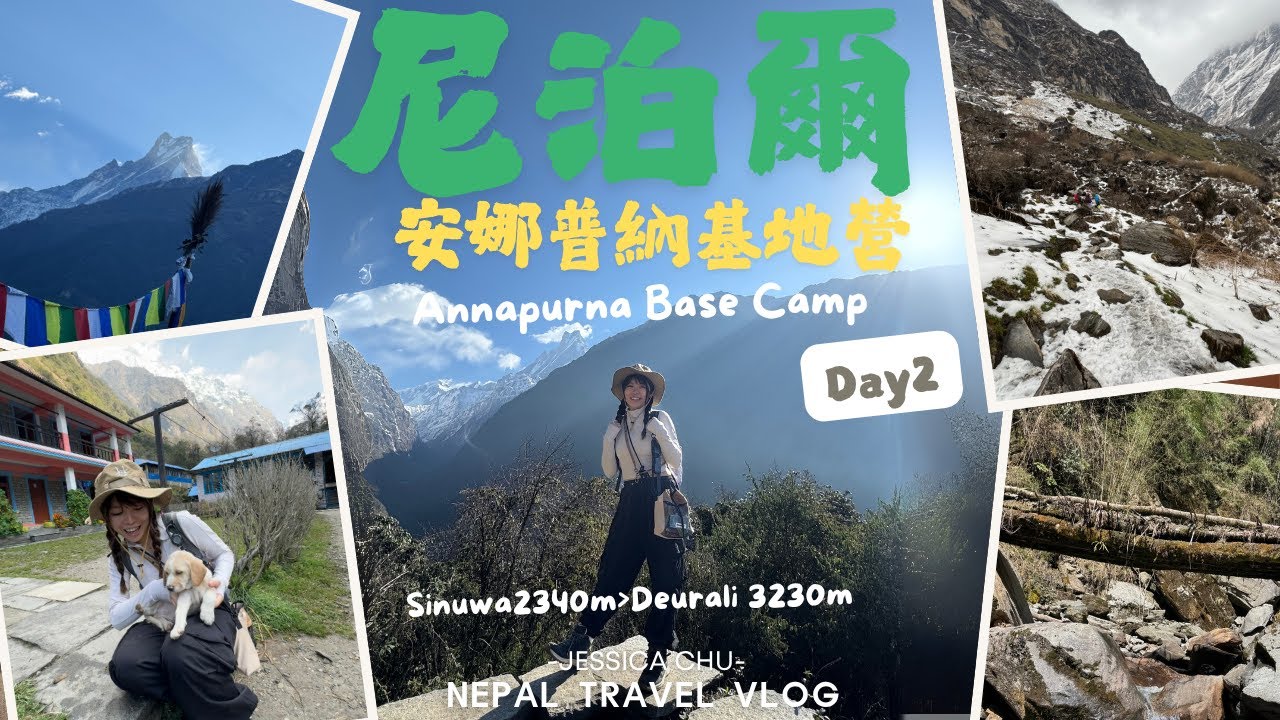 【尼泊爾】ABC Trekking 第二日|Sinuwa 2340m-Deurali 3230m|JESSICA CHU