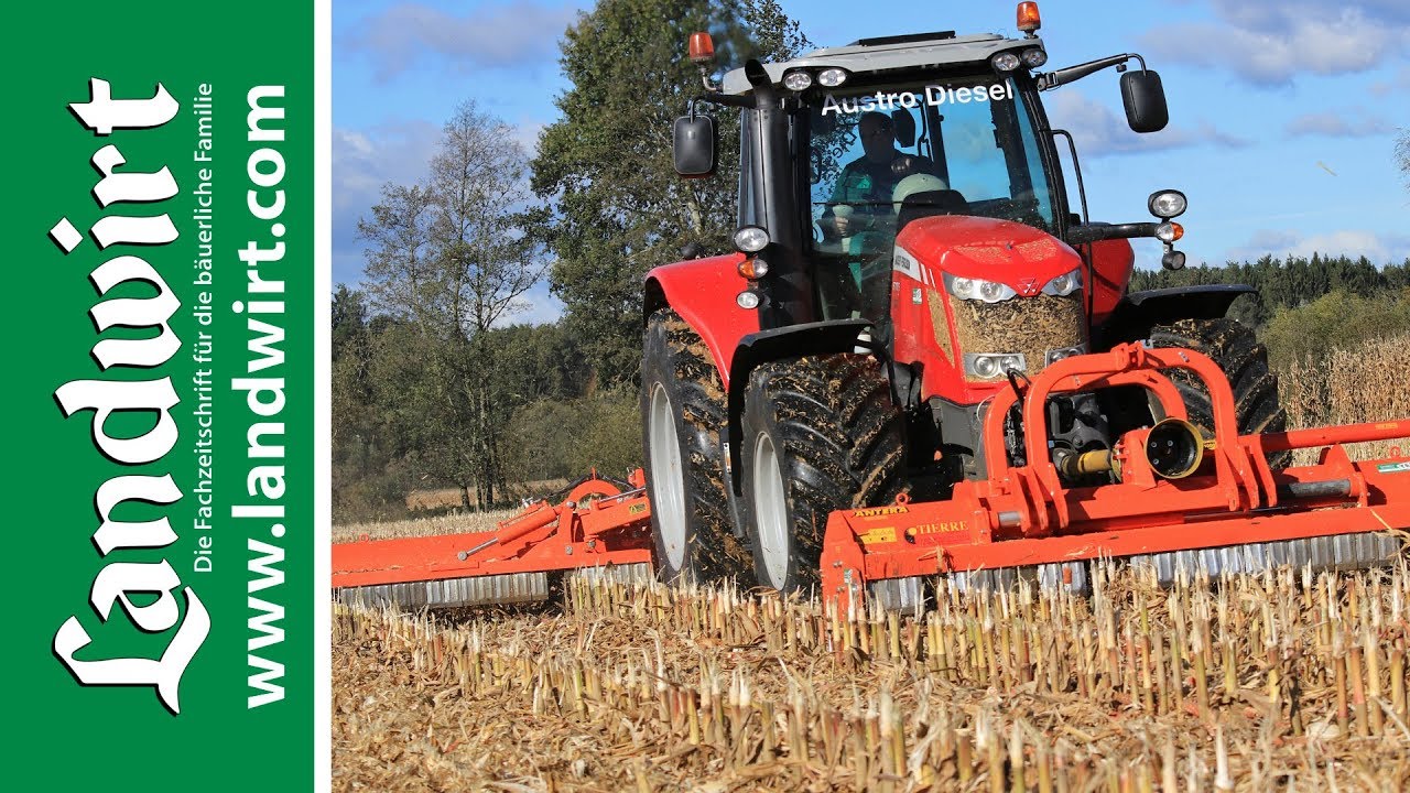 Tierre Pantera Mulcher | landwirt.com