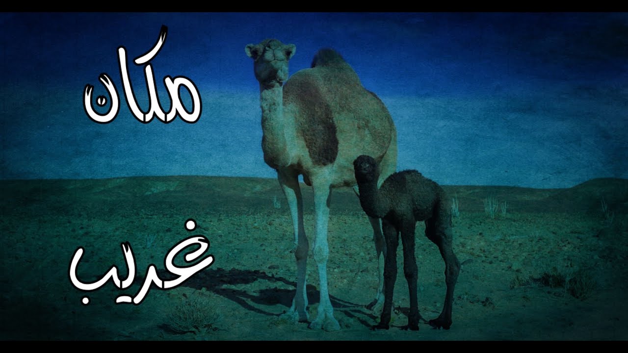 (ق479) مكان جديد وكان للجن وكانت المفاجئة احداث غريبة #قصص_واقعية #حقيقية #قصص #قصة #جن‪#‬رعب