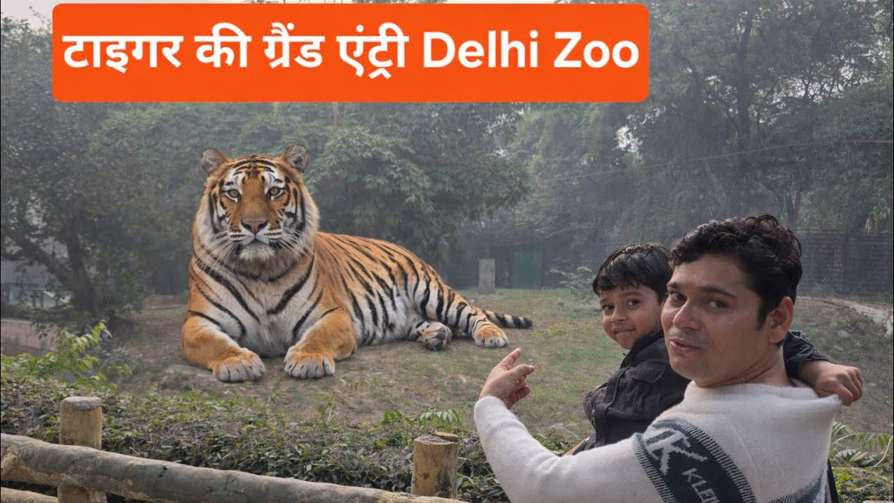 Tiger Ki Grand Entry in Delhi Zoo 🐯🔥 | Family Vlog