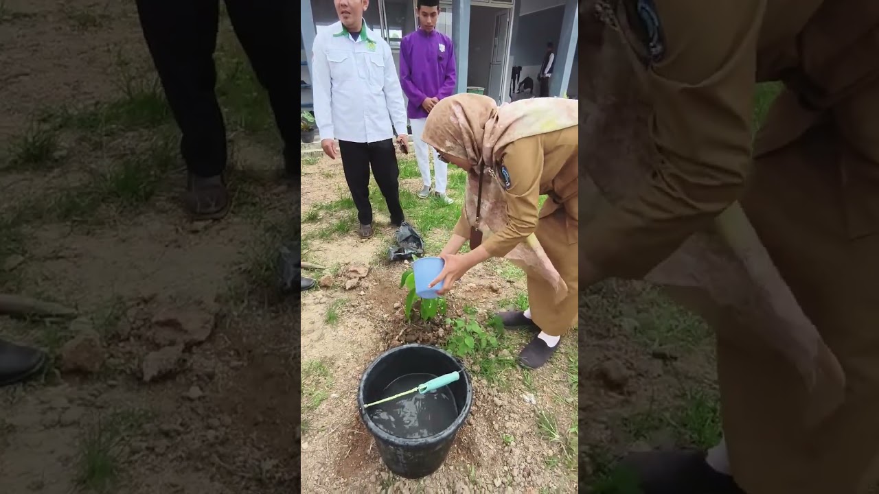 Simpangkatis,24 Februari 2026.Penanaman Pohon (EKOTEOLOGI) Di SMA N 1 Simpangkatis