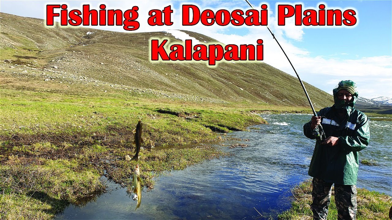 Fishing at Deosai Plains Kalapani complete information ll Explore With Kashif