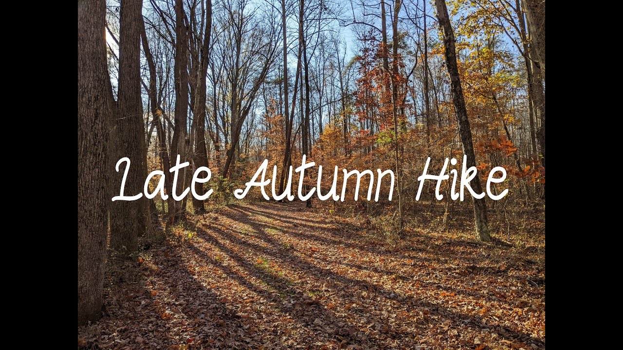 The End of Autumn - Virtual Hike