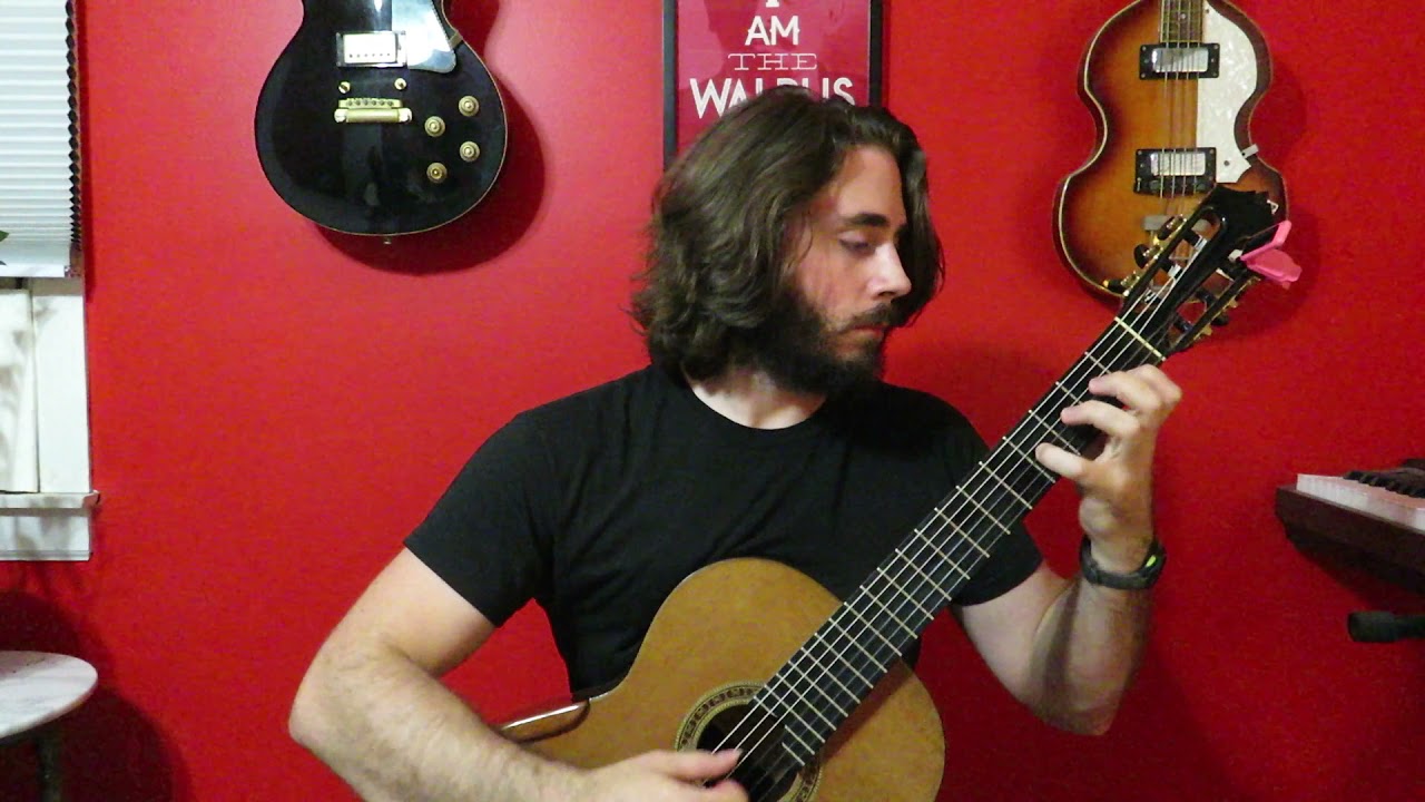 Donkey Kong Country 2 - Stickerbrush Symphony | Classical Guitar Cover