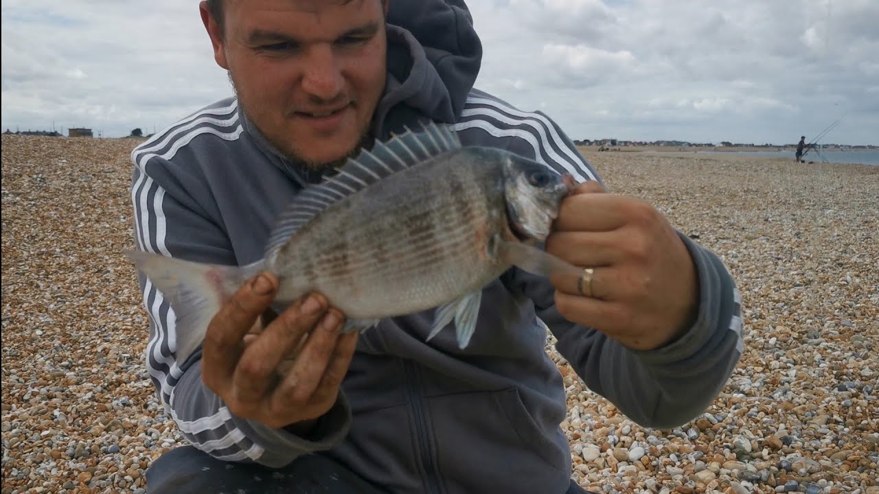 Fishing dungeness beach and a bit of bait collecting - sea fishing UK