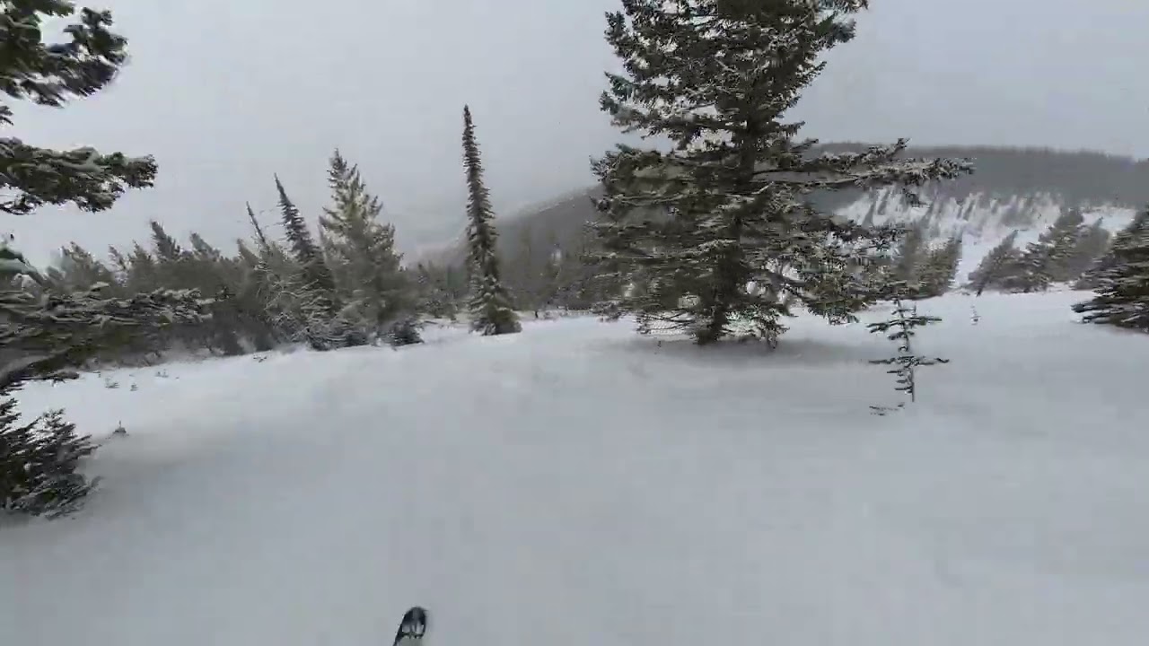 Whitefish, MT - Good Medicine and Big Ravine - March 11, 2023