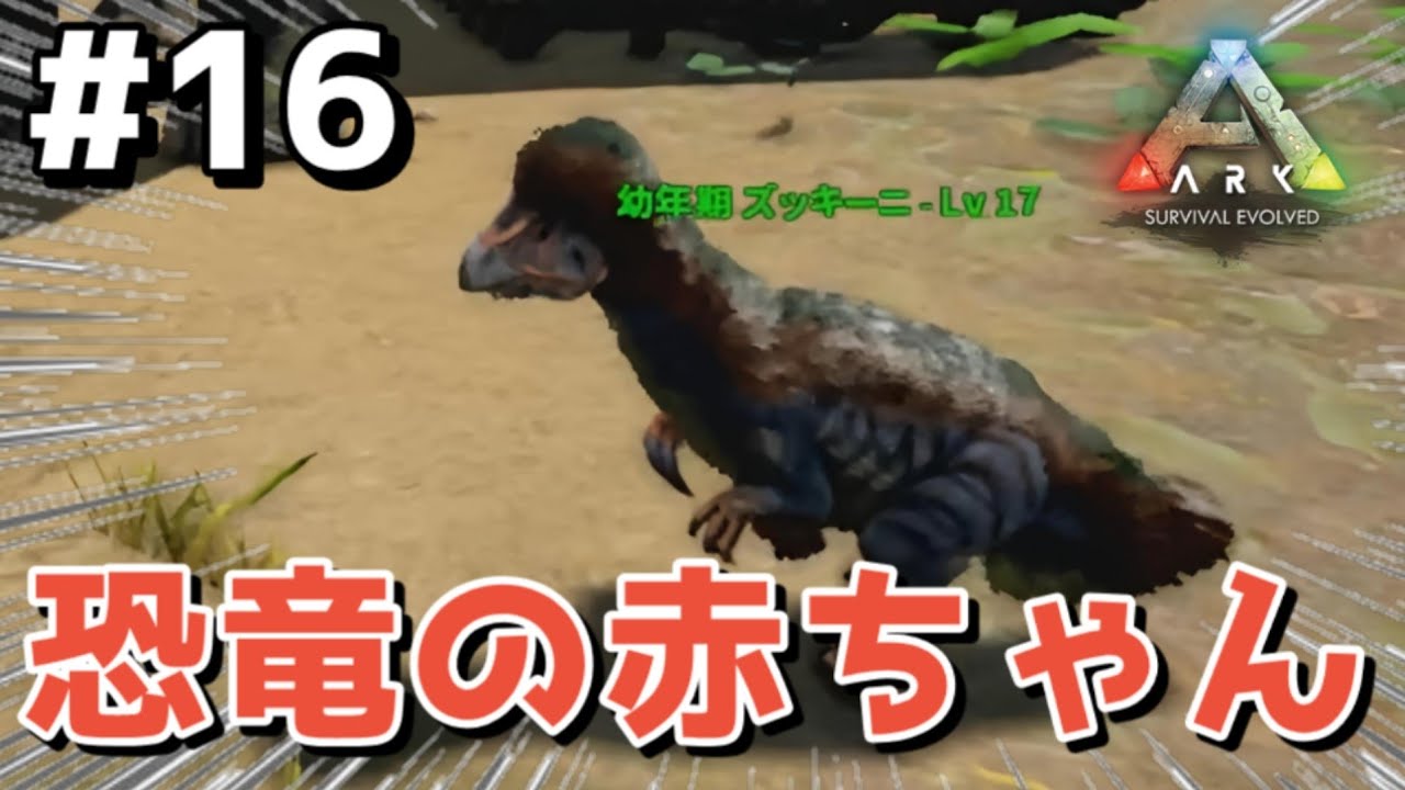 【 Ark 】第16話 「恐竜の赤ちゃん」　赤ちゃんを育ててみたよ！ここでよかこは生き残れるか？よかこのゲーム実況