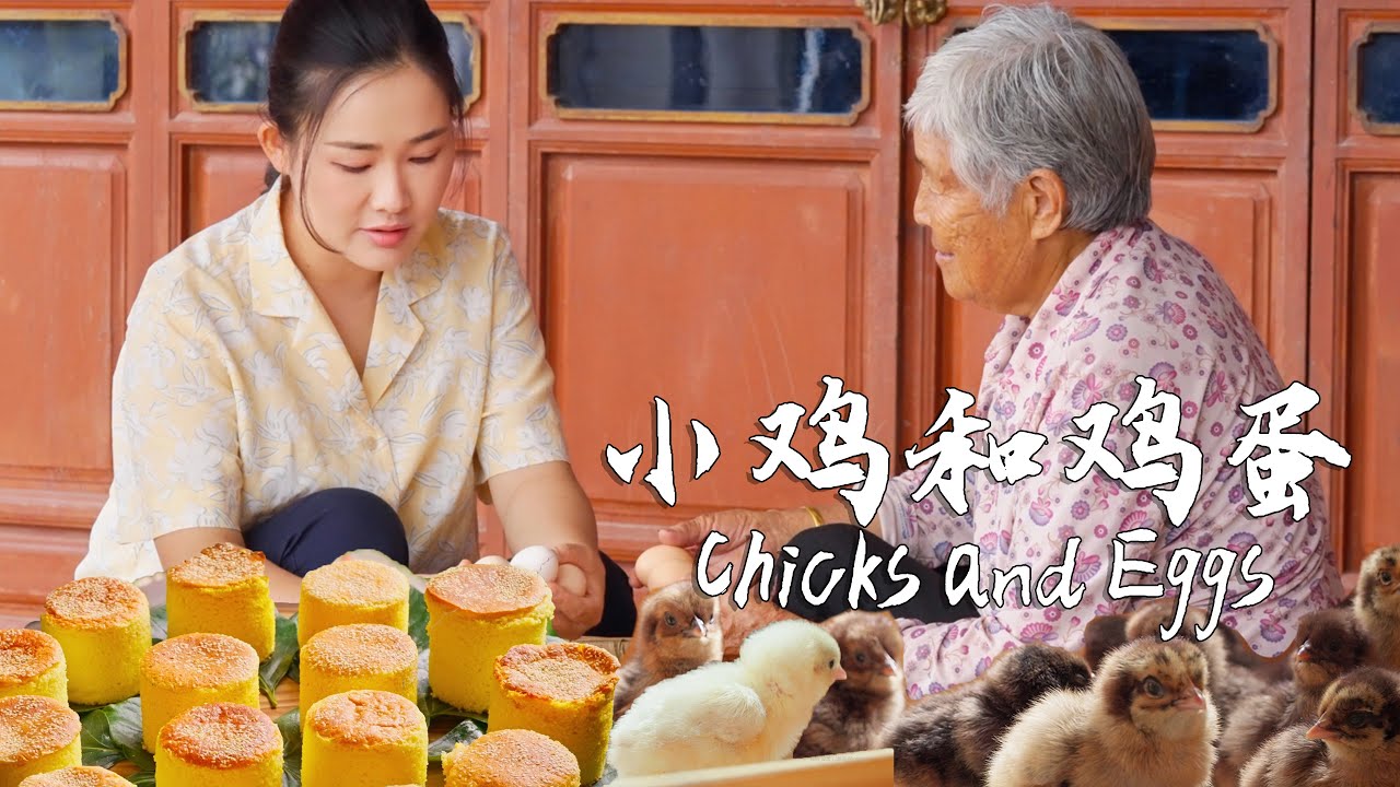 Chicks and eggs — which came first, the chicken or the egg?【滇西小哥】