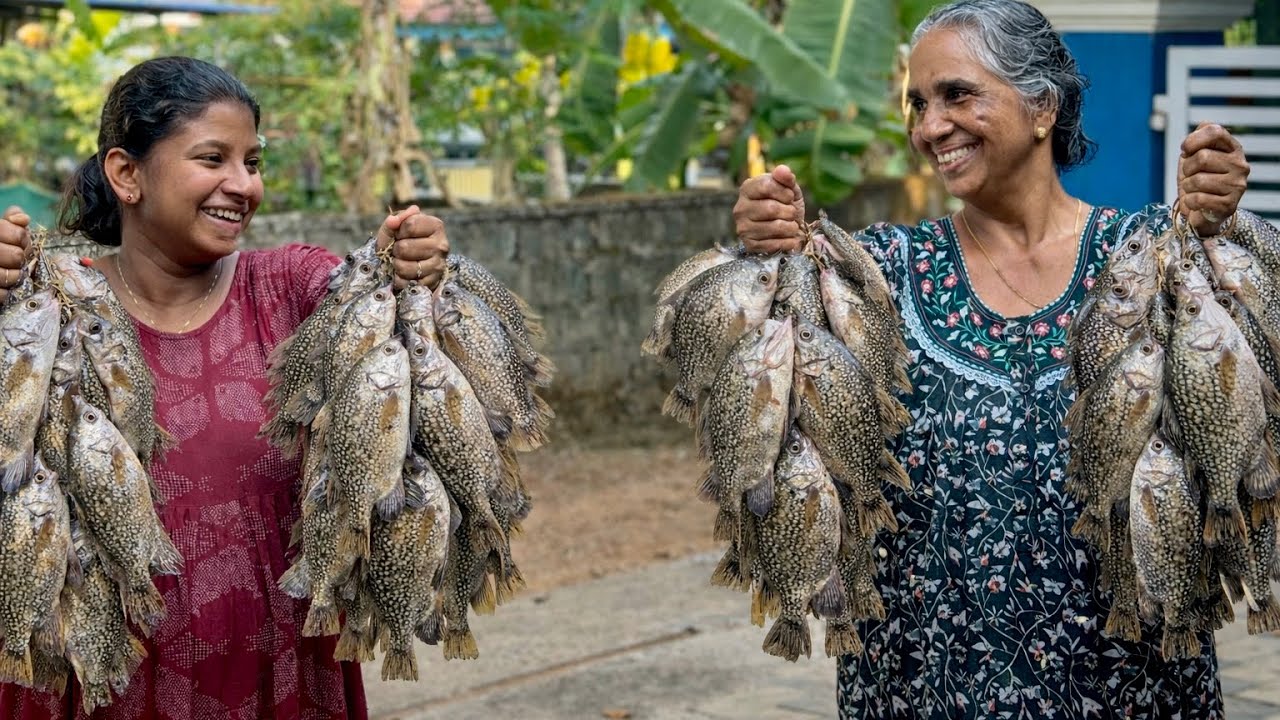 ചൂണ്ടയിടാൻ പഠിപ്പിക്കാൻ പോയതാ.. പക്ഷേ ഇഷ്ടം പോലെ കരിമീൻ 😍 | Kerala fishing | Fishing Freaks