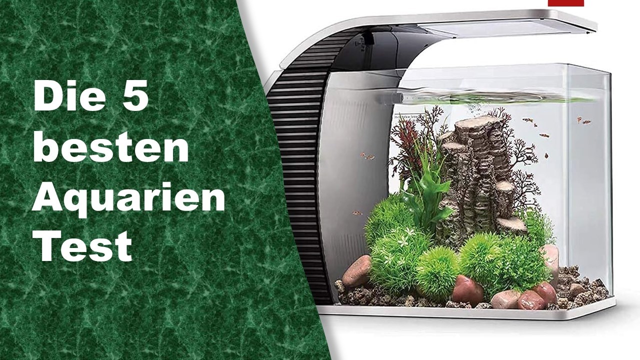 besten Aquarien  Test 2026